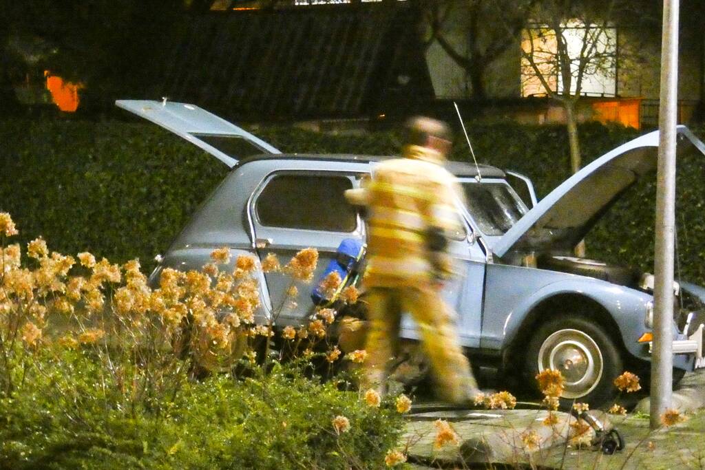 Lelijke eend staat te roken op parkeerplaats