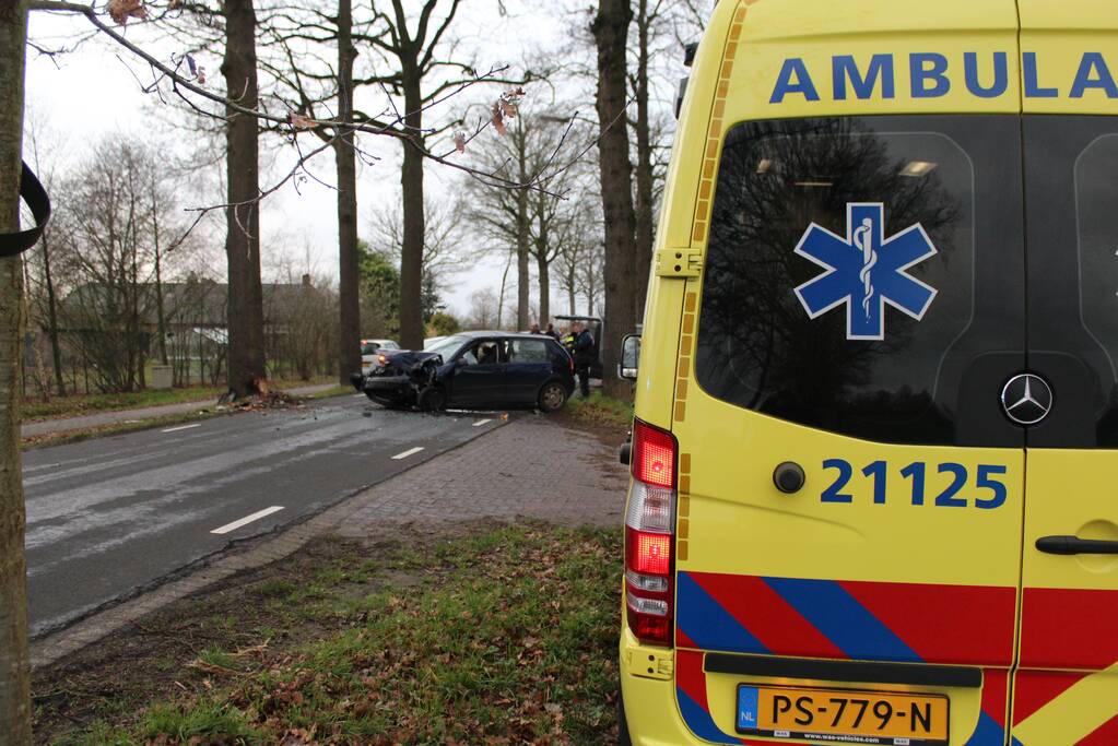 Flinke schade na eenzijdige botsing tegen boom