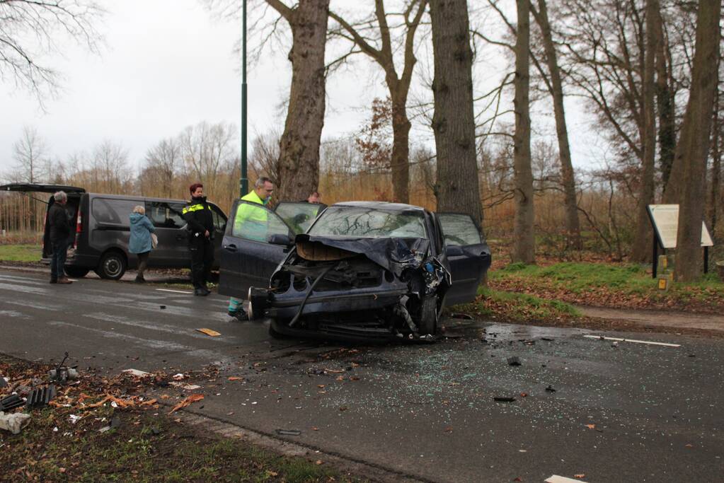 Flinke schade na eenzijdige botsing tegen boom