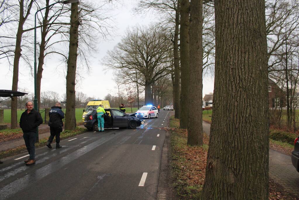 Flinke schade na eenzijdige botsing tegen boom