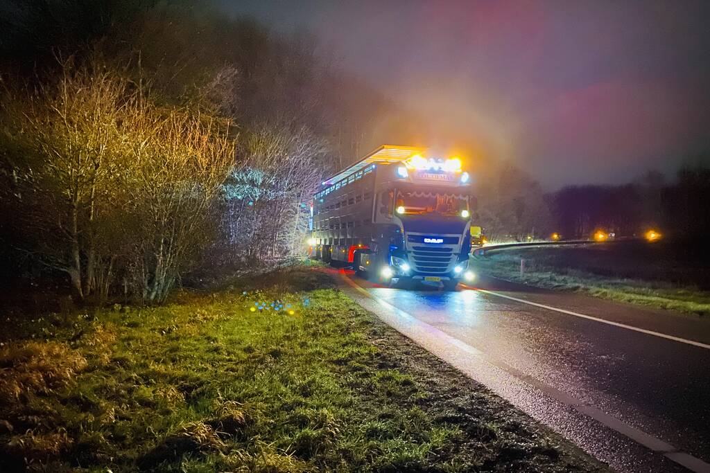 Vrachtwagen met varkens belandt naast de weg