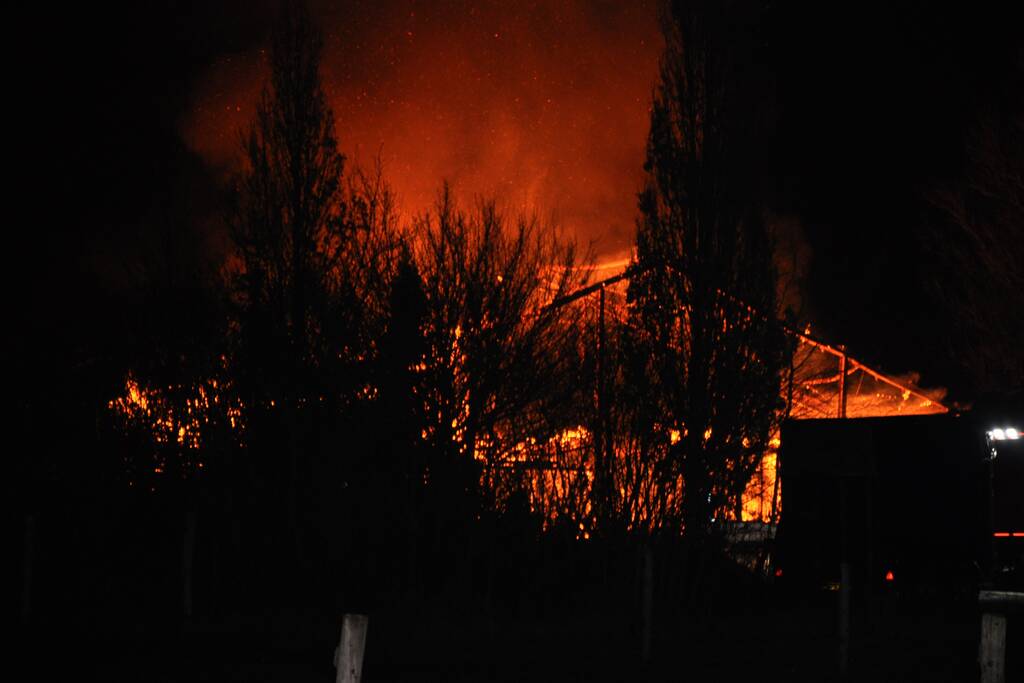 Paarden gered van grote brand op manege