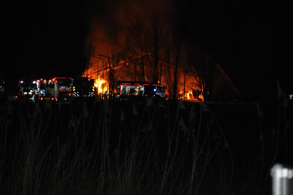 Paarden gered van grote brand op manege