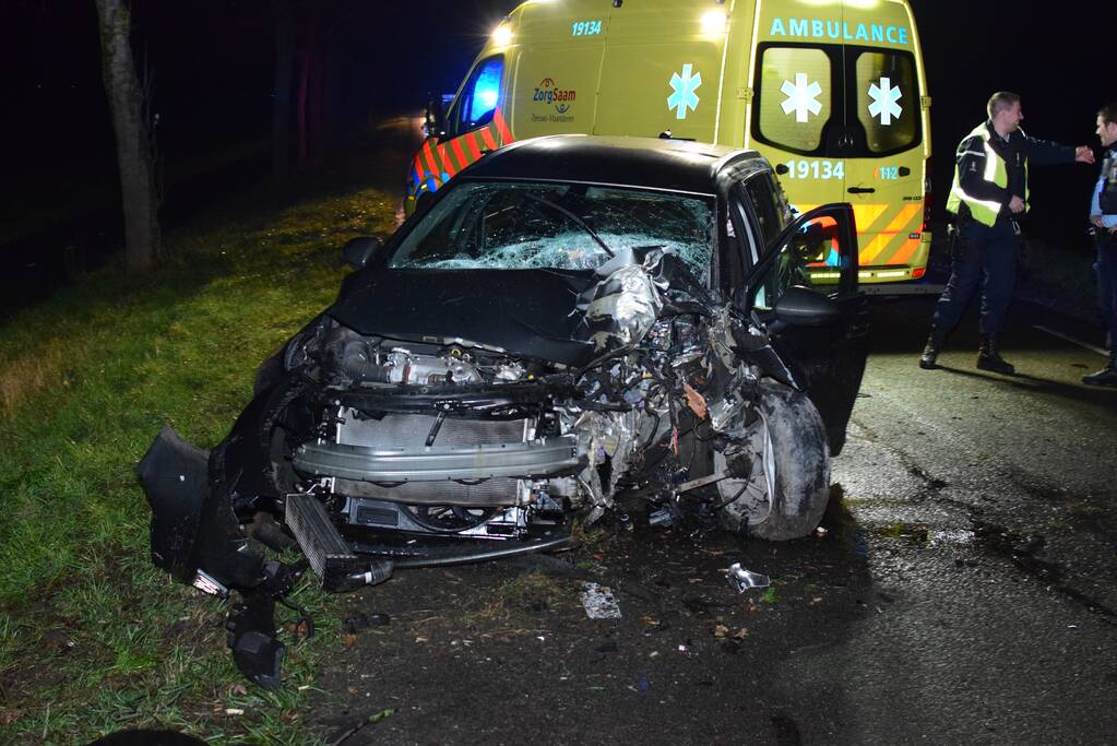 Auto total loss na eenzijdige botsing op boom