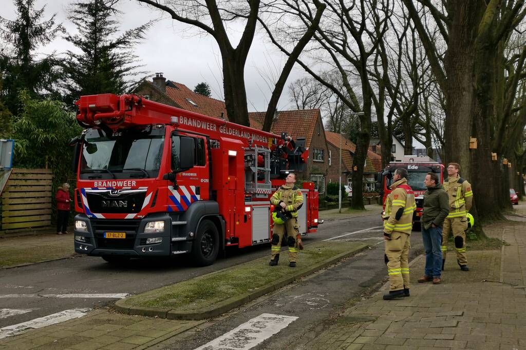 Gevaarlijke hangende takken verwijderd