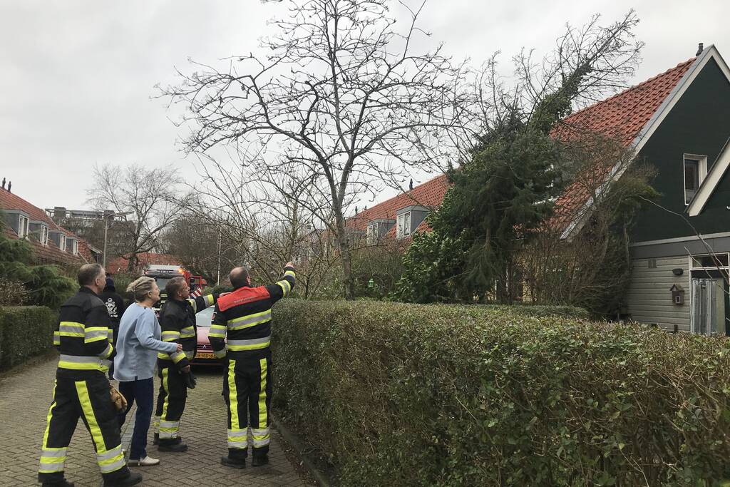Boom drijgt op schuur te vallen