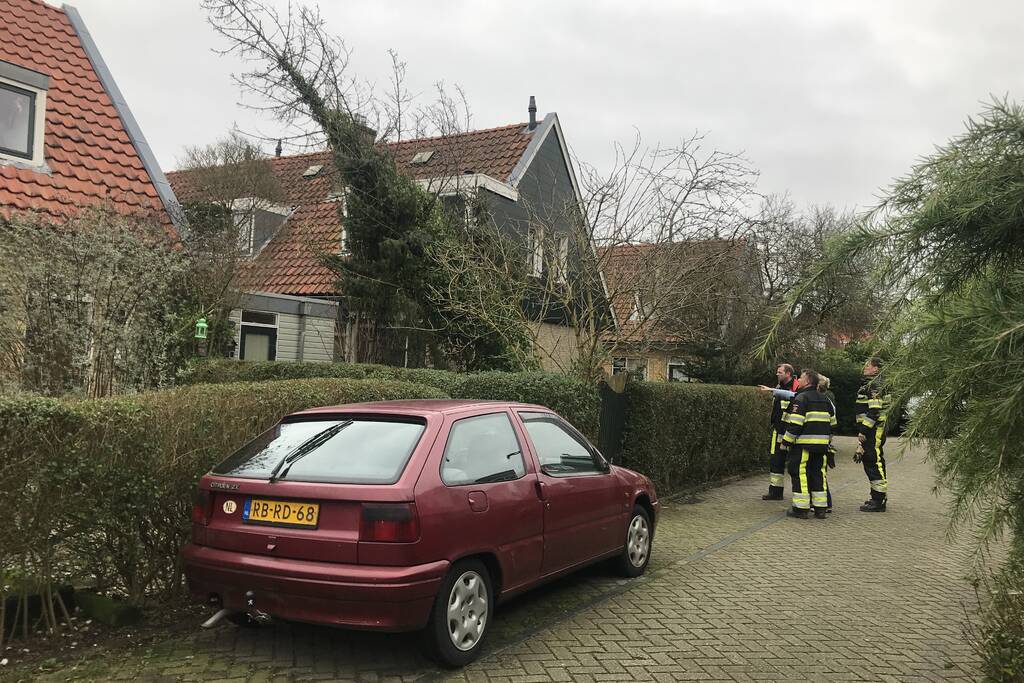 Boom drijgt op schuur te vallen