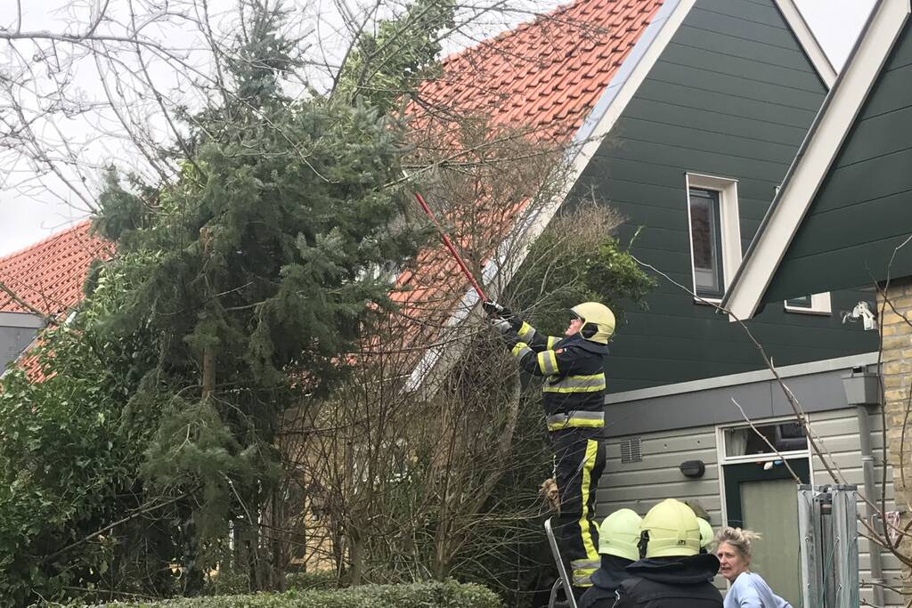 Boom drijgt op schuur te vallen