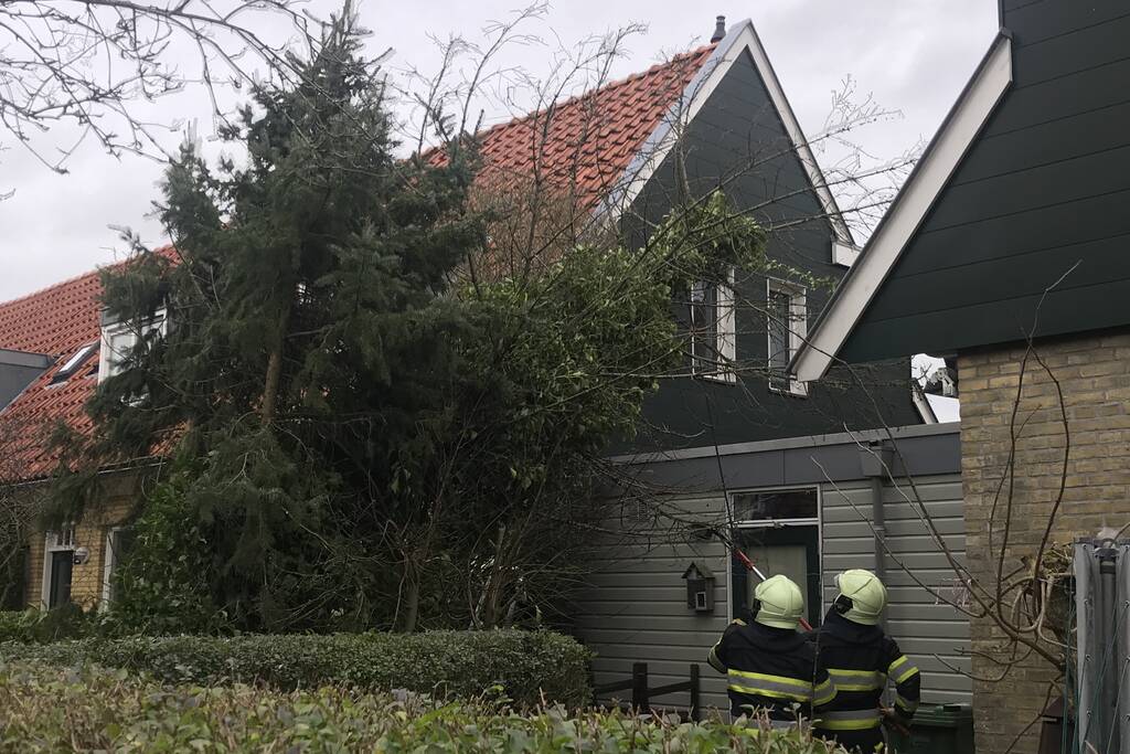 Boom drijgt op schuur te vallen
