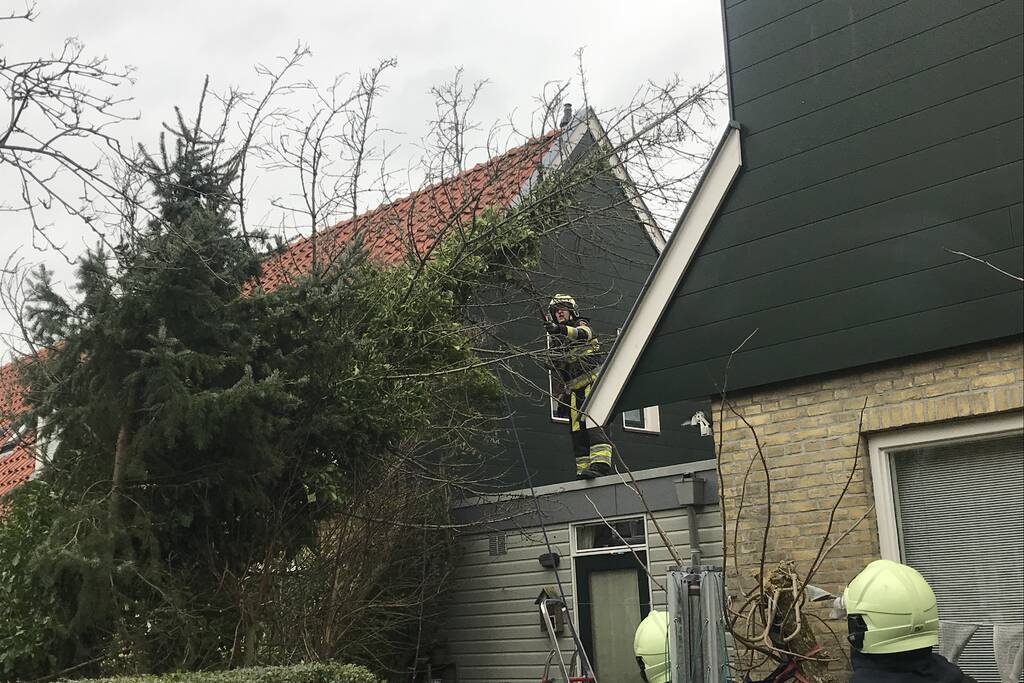Boom drijgt op schuur te vallen