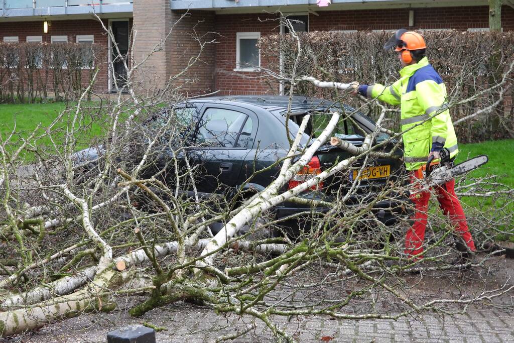 Boom valt op auto, veel schade