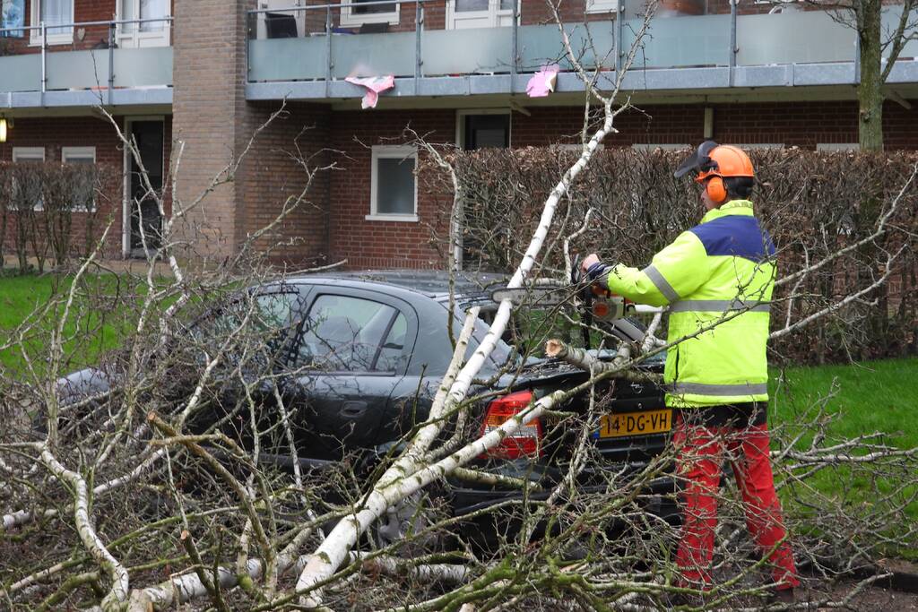 Boom valt op auto, veel schade