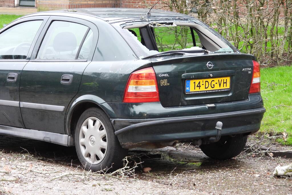 Boom valt op auto, veel schade