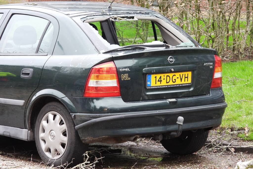 Boom valt op auto, veel schade