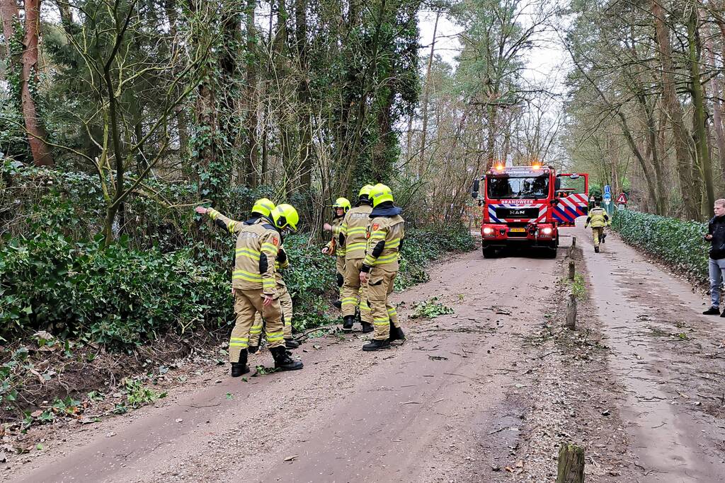 Gevaarlijk hangende takken vallen op rijbaan