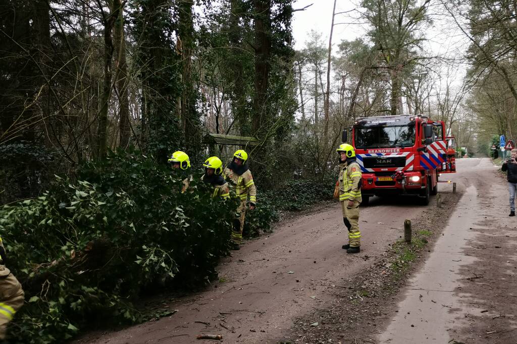 Gevaarlijk hangende takken vallen op rijbaan