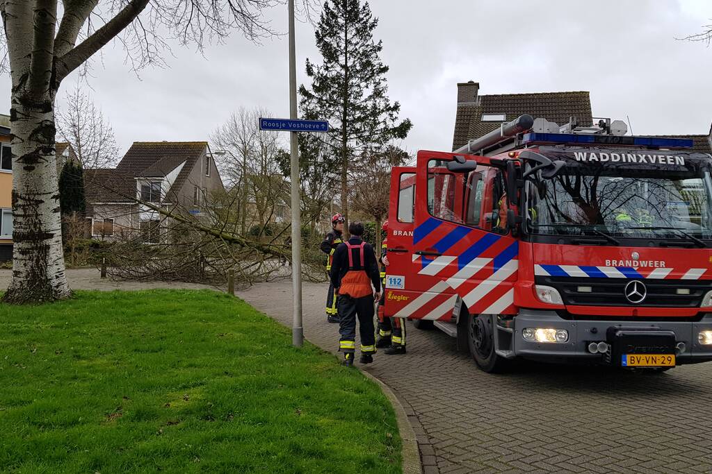 Boom val om midden op straat