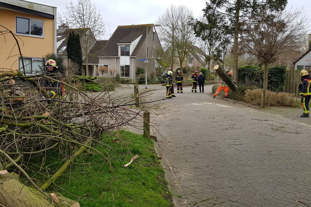 Boom val om midden op straat