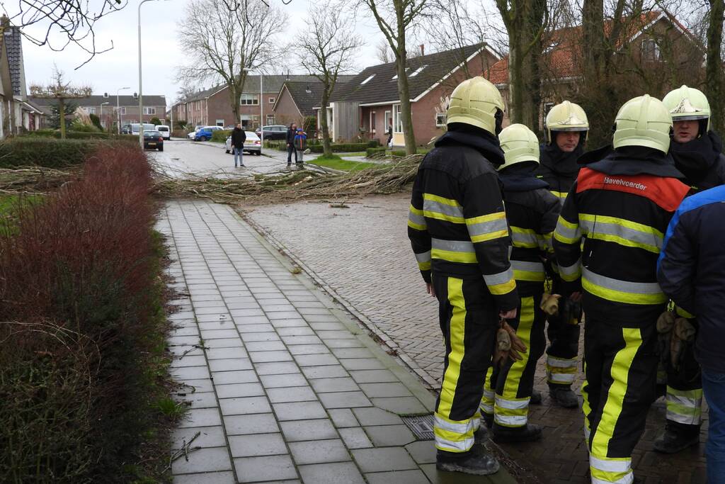 Boom breekt af en valt op woning
