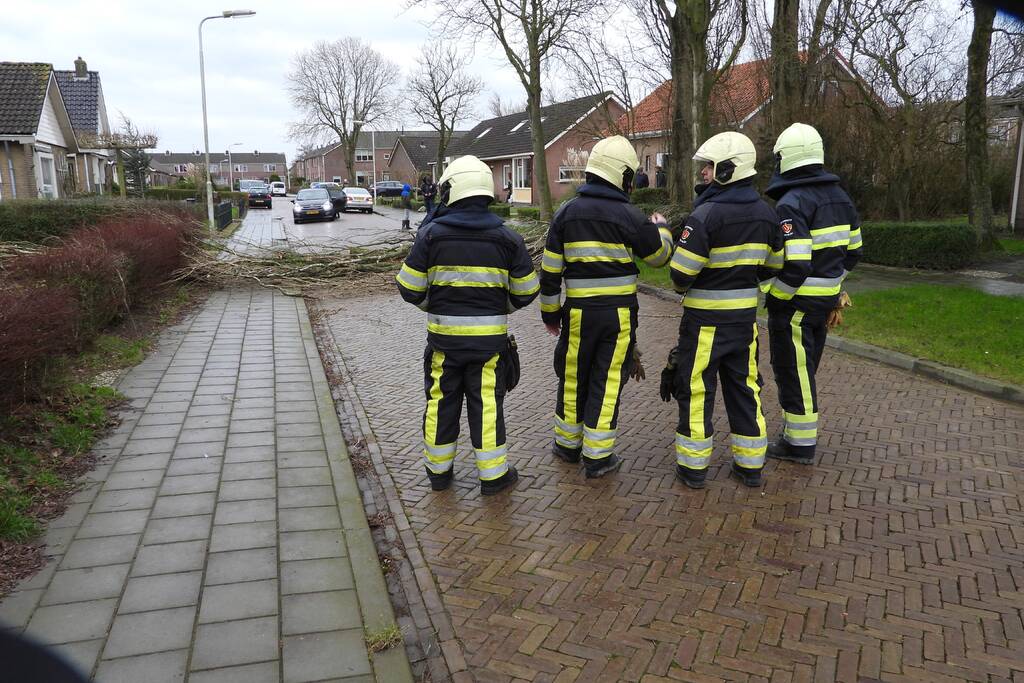 Boom breekt af en valt op woning