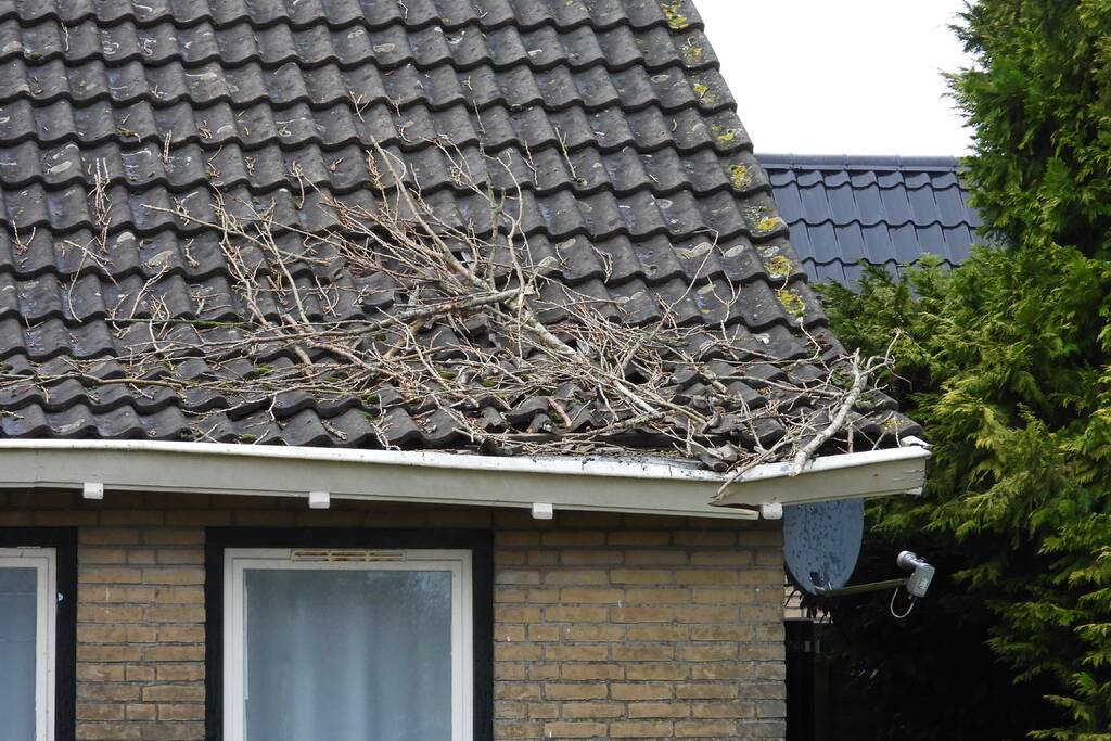 Boom breekt af en valt op woning