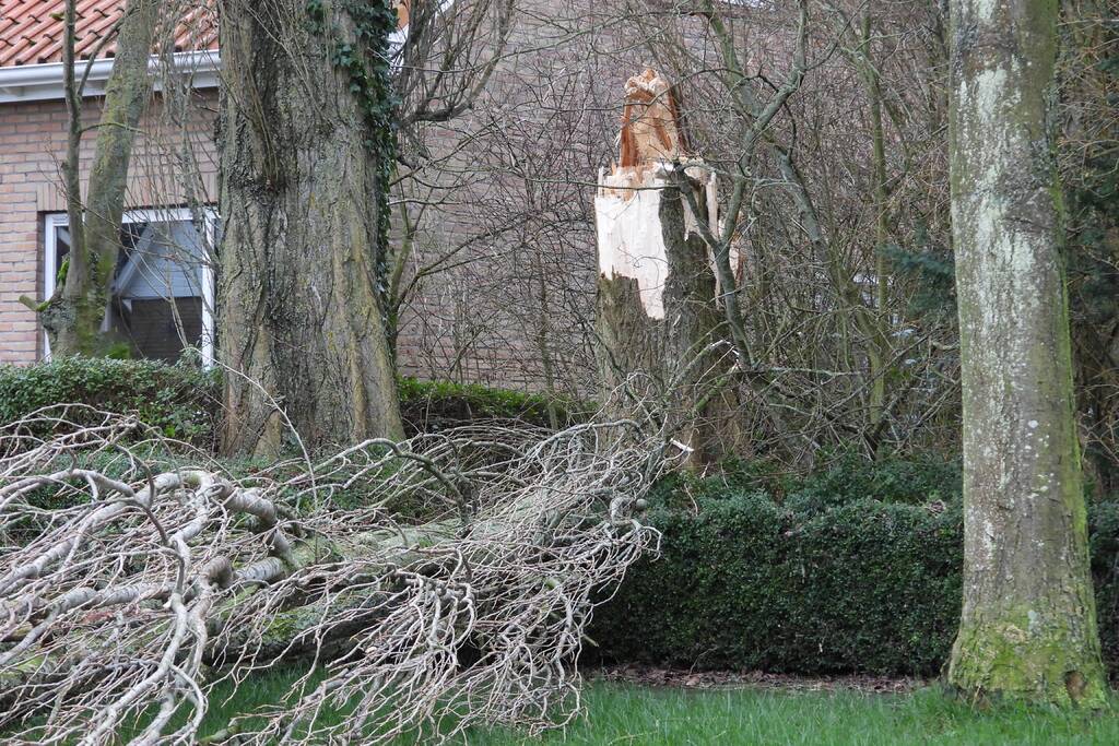 Boom breekt af en valt op woning