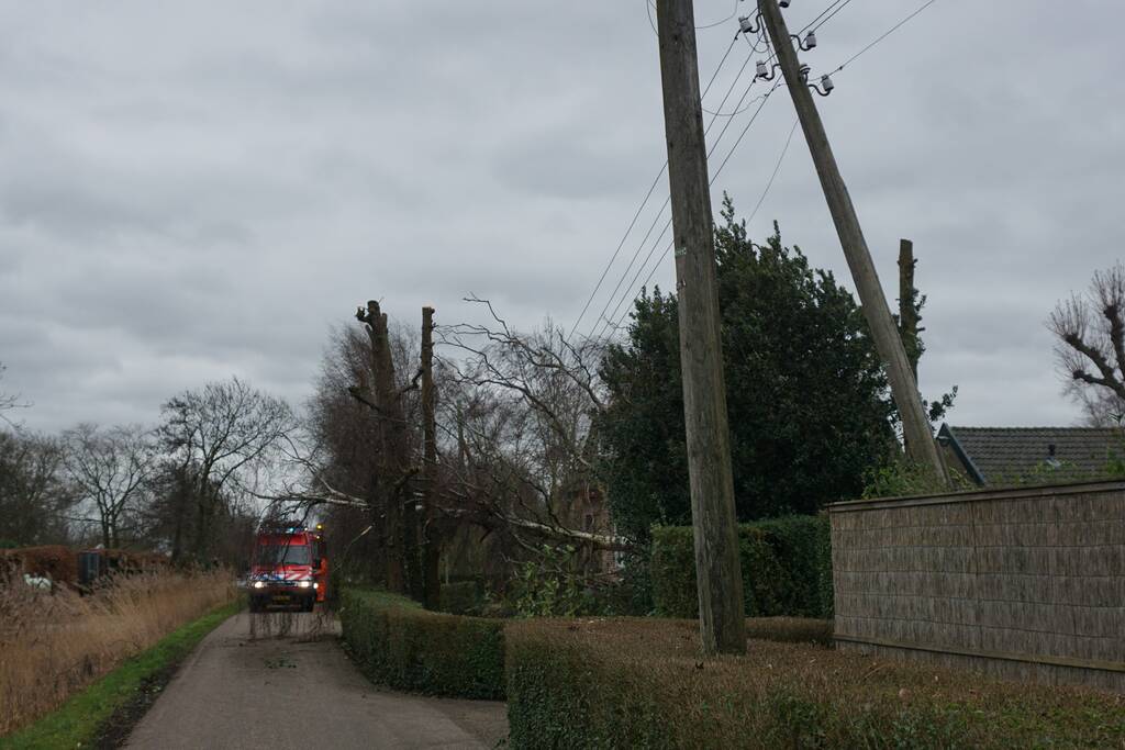 Kabels in mast beschadigd door omgevallen boom
