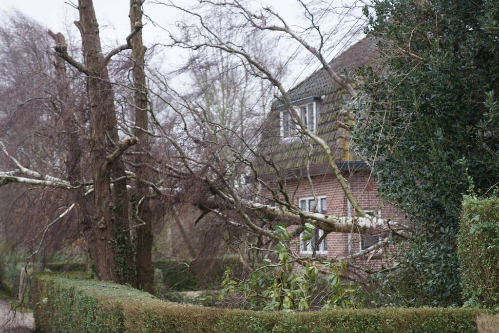 Kabels in mast beschadigd door omgevallen boom