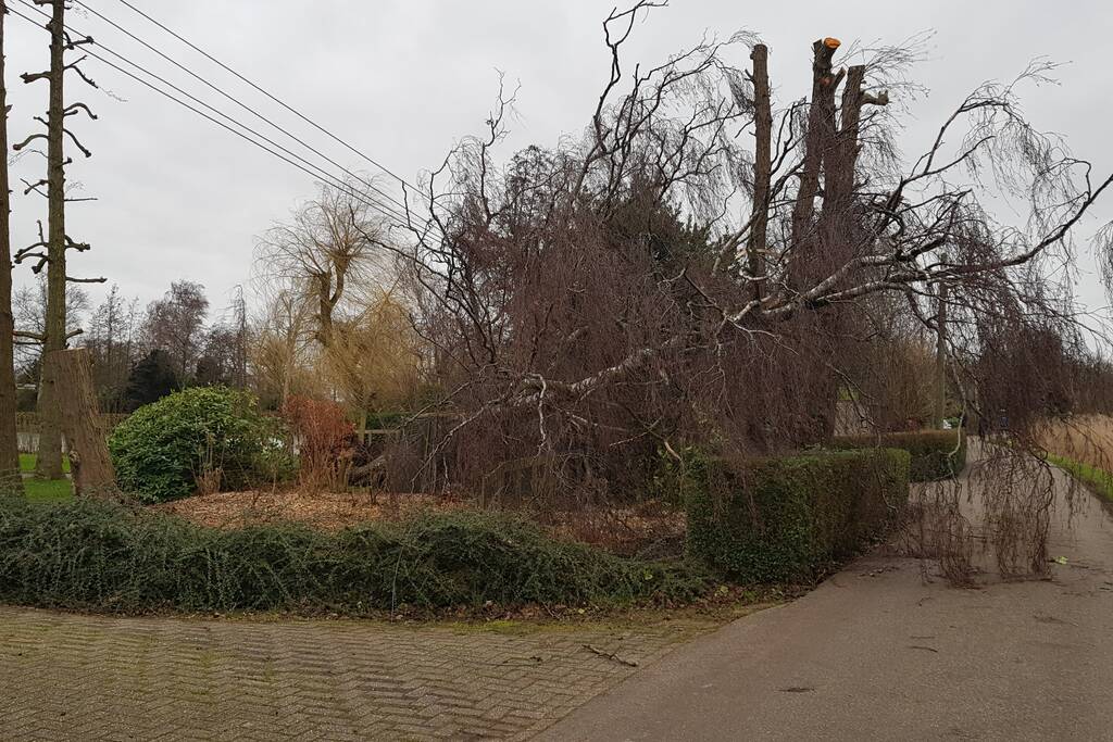 Kabels in mast beschadigd door omgevallen boom