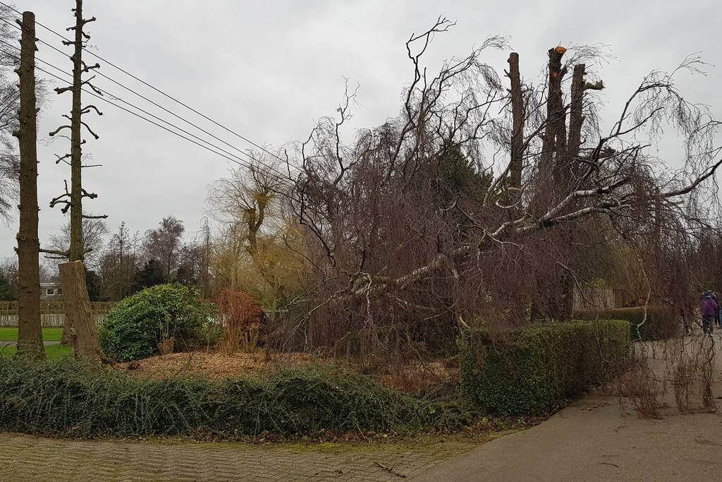 Kabels in mast beschadigd door omgevallen boom