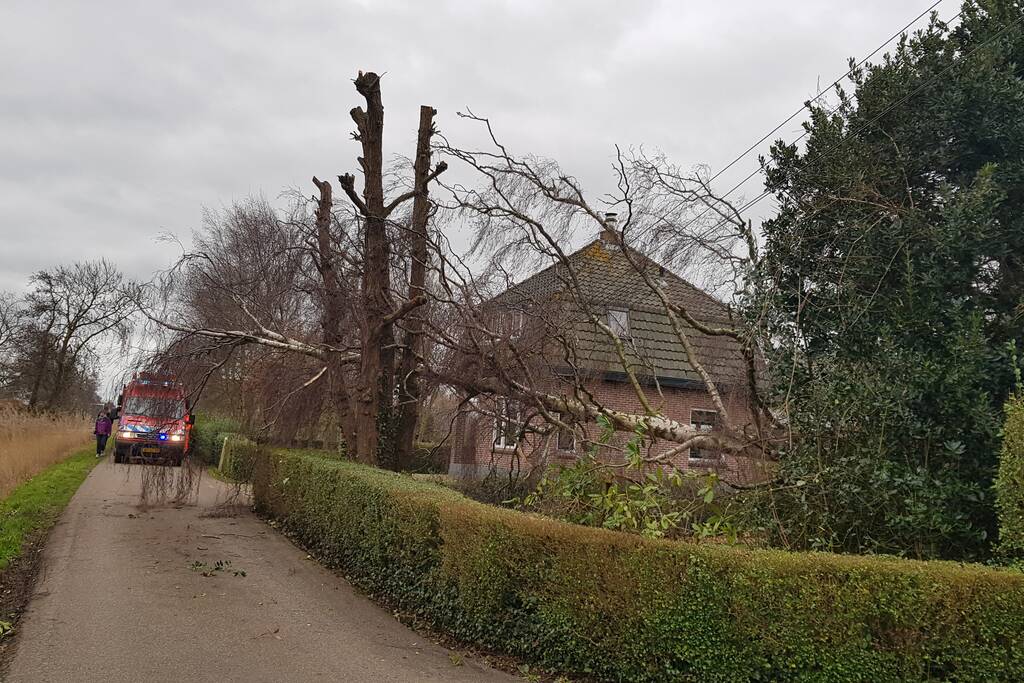 Kabels in mast beschadigd door omgevallen boom