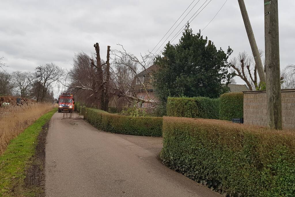 Kabels in mast beschadigd door omgevallen boom