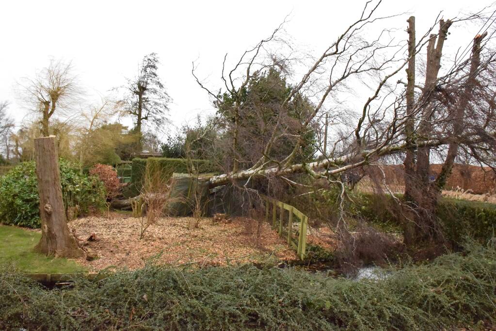 Kabels in mast beschadigd door omgevallen boom