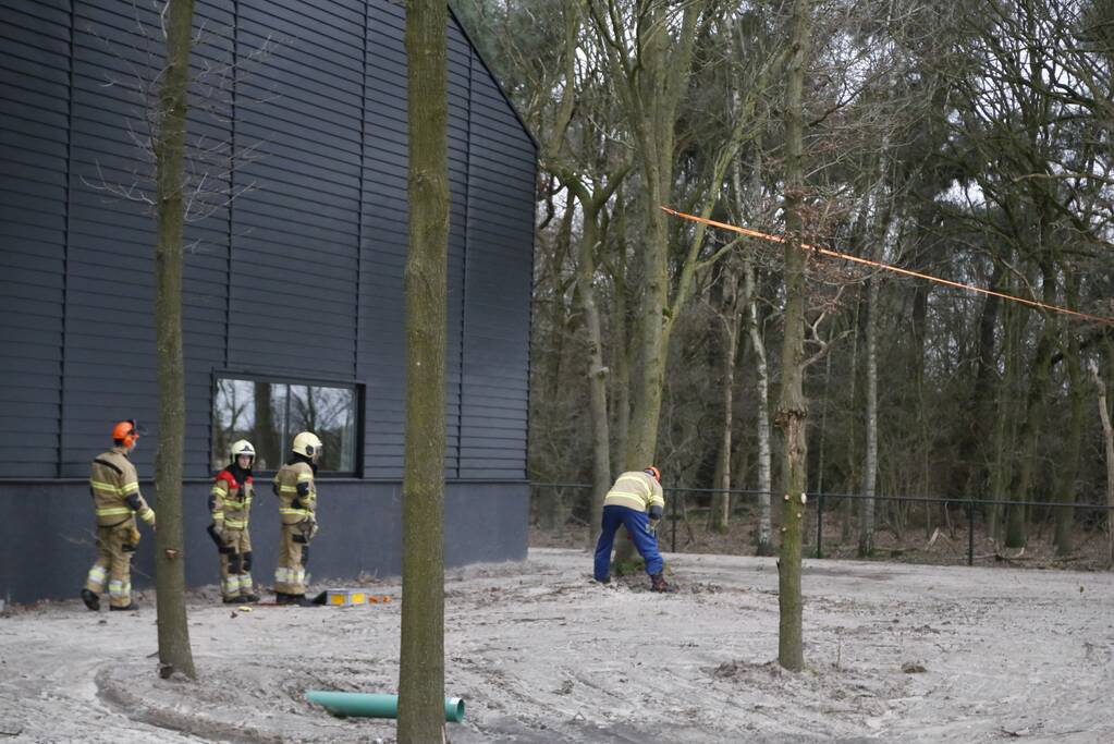 Groteboom dreig op loods te vallen
