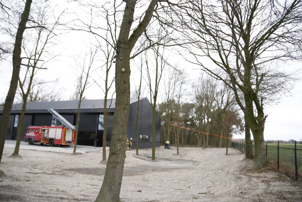 Groteboom dreig op loods te vallen