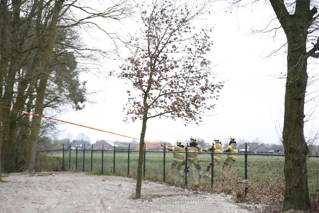 Groteboom dreig op loods te vallen