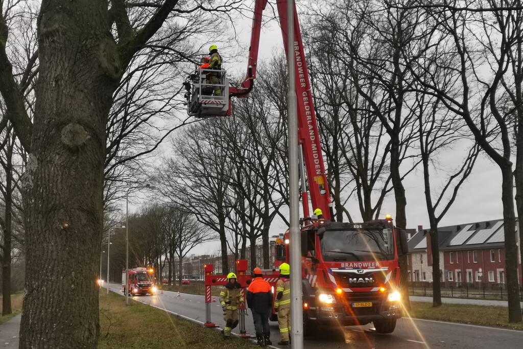 Boom top staat op vallen