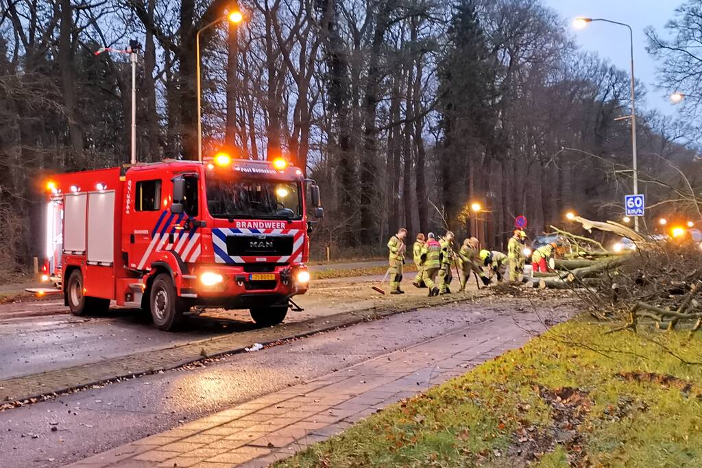 Grote boom valt om en versperd weg