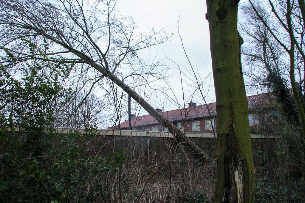 Boom valt tegen schuur