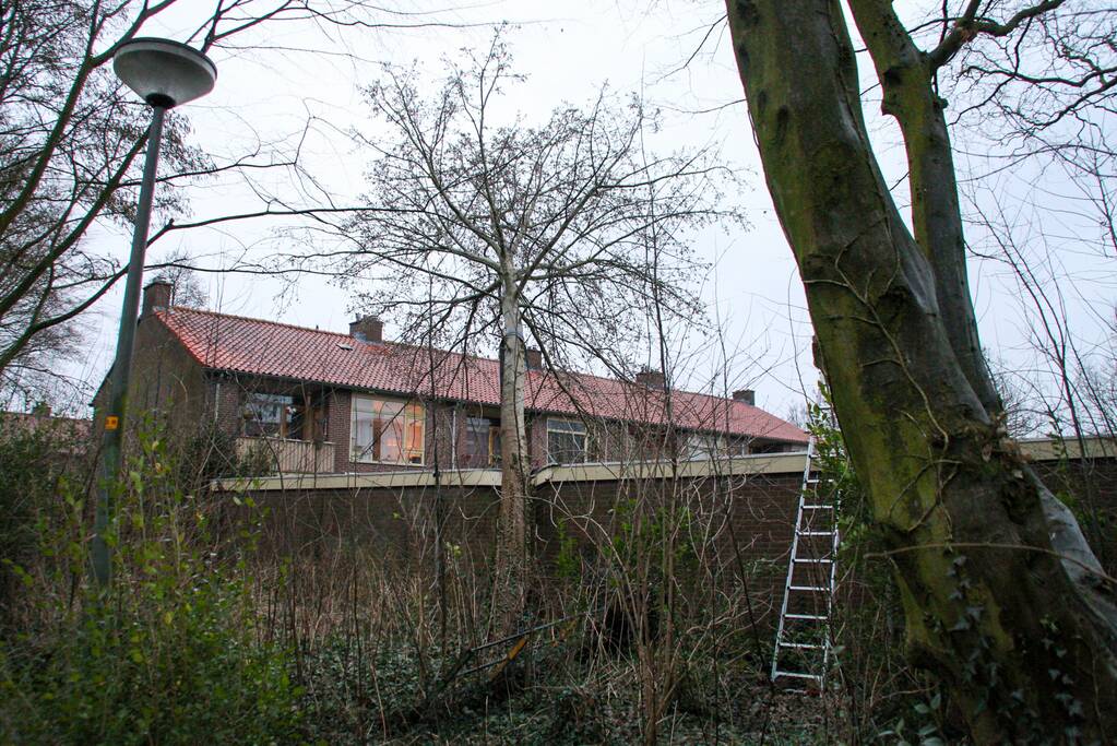 Boom valt tegen schuur