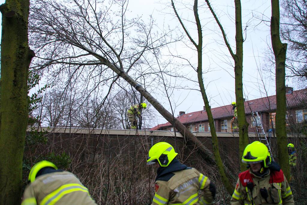 Boom valt tegen schuur