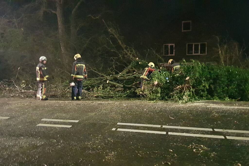 boom valt omver en blokkeert fietspad