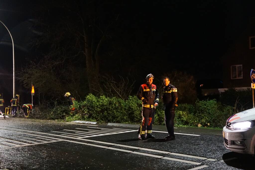 boom valt omver en blokkeert fietspad