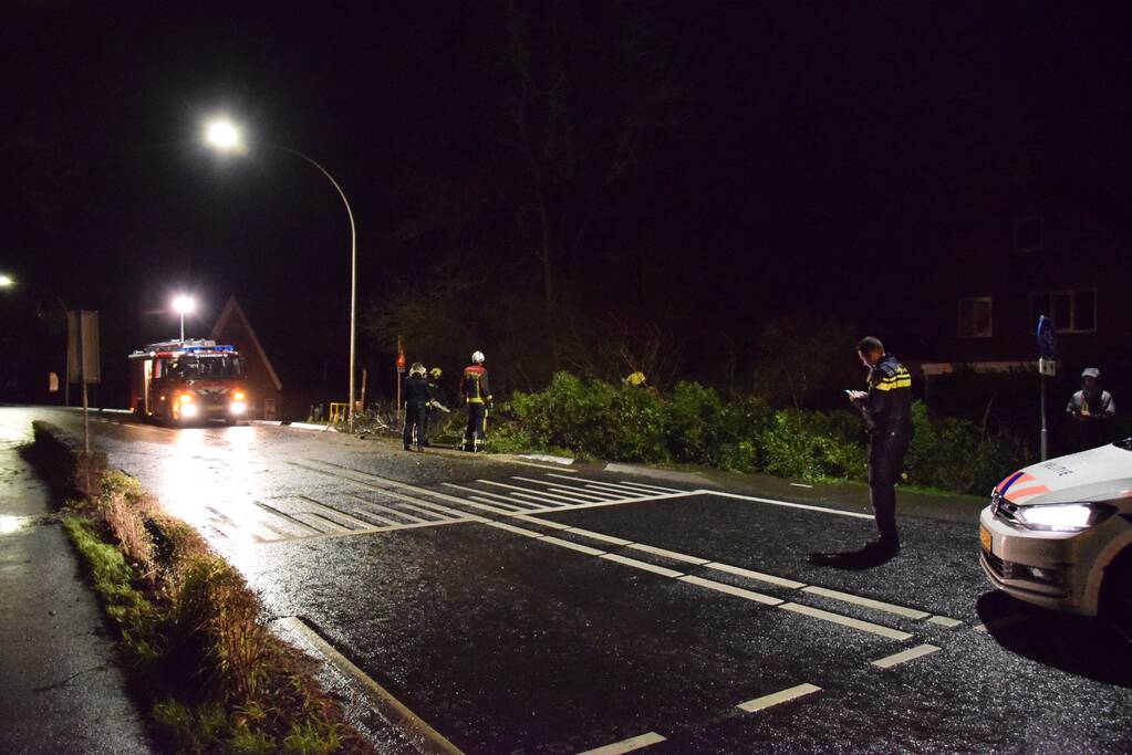 boom valt omver en blokkeert fietspad