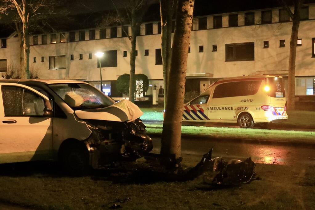 Bestelbus botst frontaal op boom