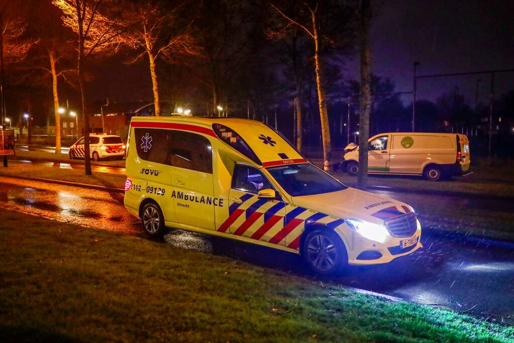 Bestelbus botst frontaal op boom