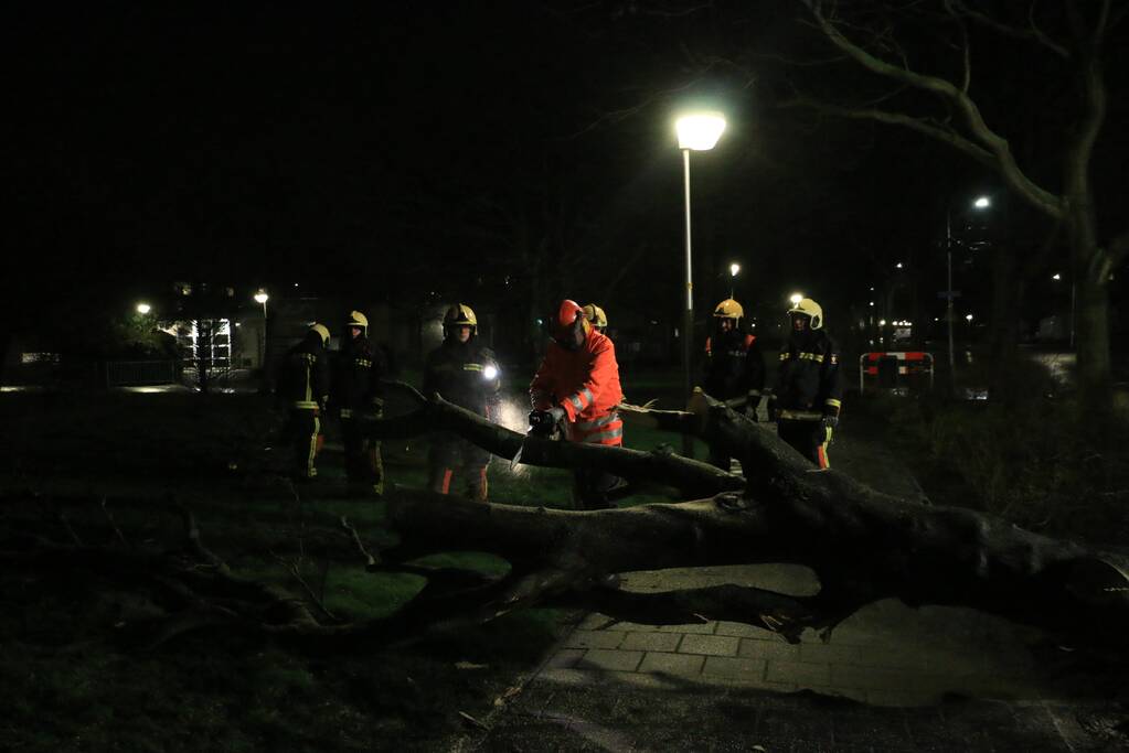 Brandweer zaagt omgewaaide boom in stukken
