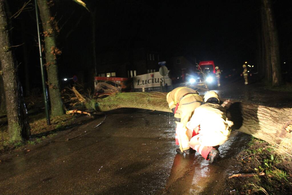 Brandweer verwijderd omgevallen boom