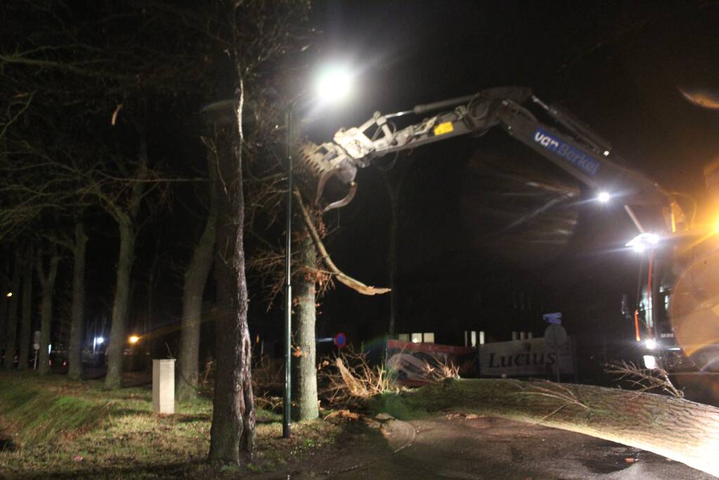 Brandweer verwijderd omgevallen boom