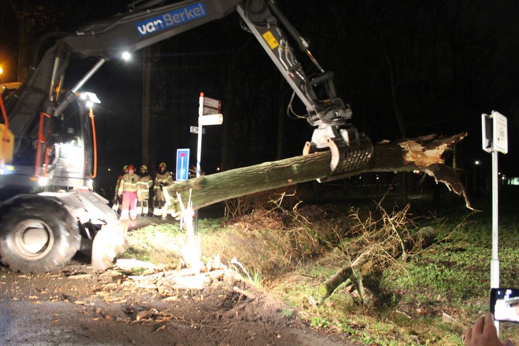 Brandweer verwijderd omgevallen boom